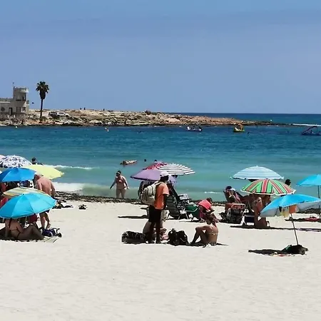 Julia Playa Locos Apartment